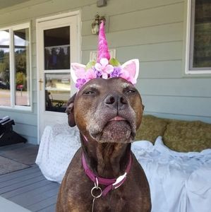 Meet your Posher, Justus